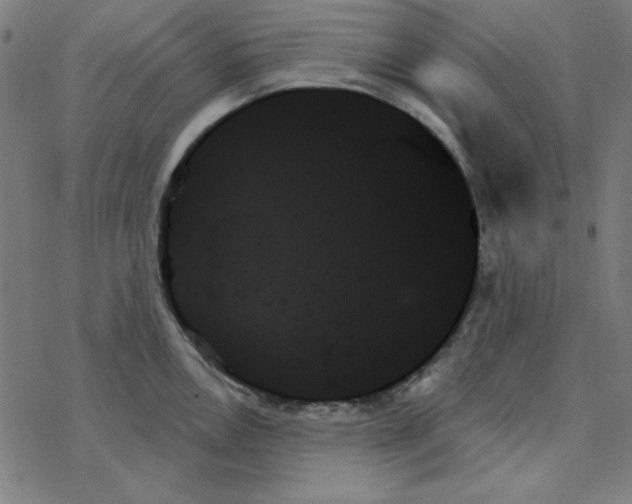 X0000078271146200612011713