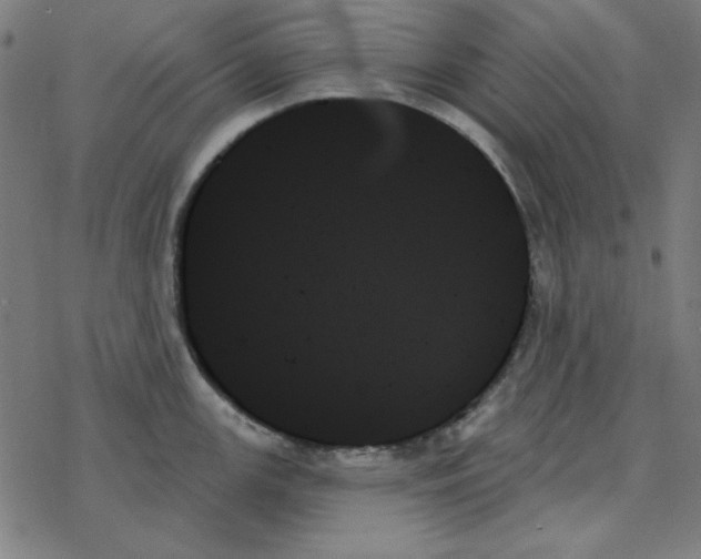 X0000078271147200612011713