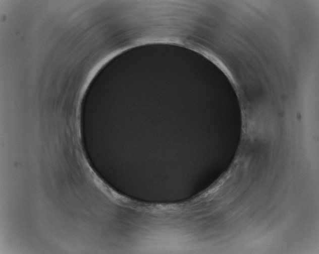 X0000078271148200612011713