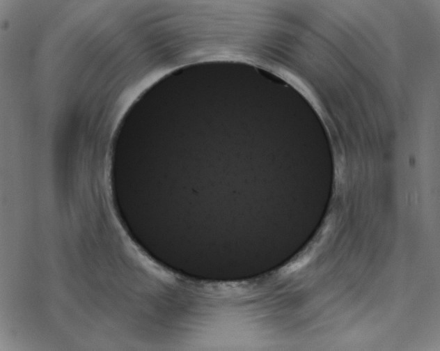 X0000078271149200612011713