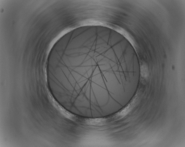 X0000078271150200612011713