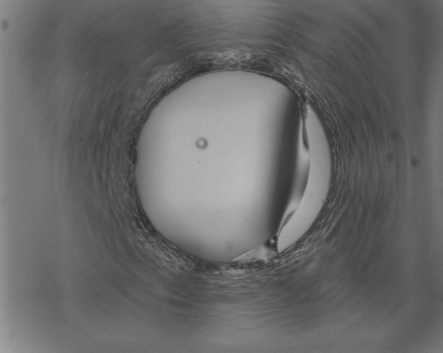 X0000078271153200612011712