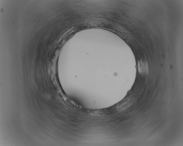 X0000078271155200612011712