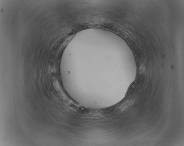 X0000078271156200612011712