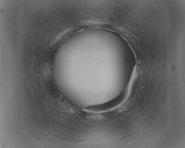 X0000078271157200612011712