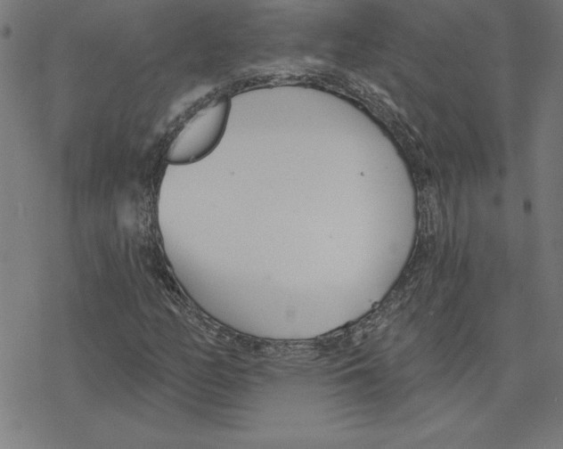 X0000078271158200612011712