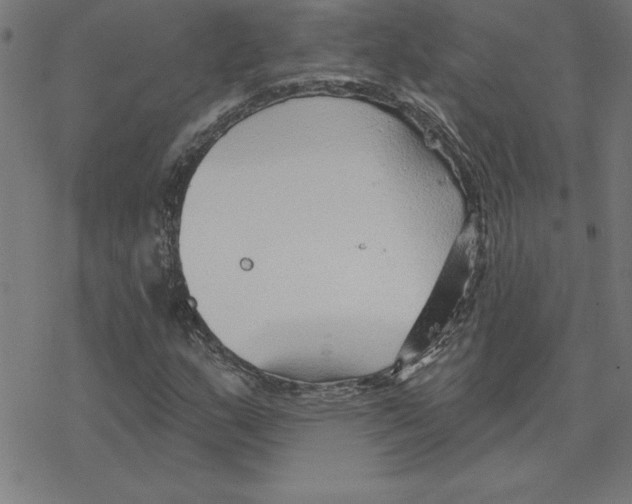 X0000078271159200612011712