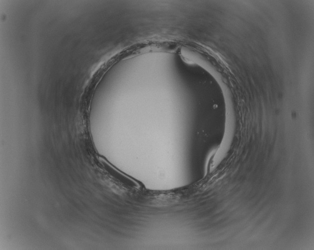 X0000078271160200612011712