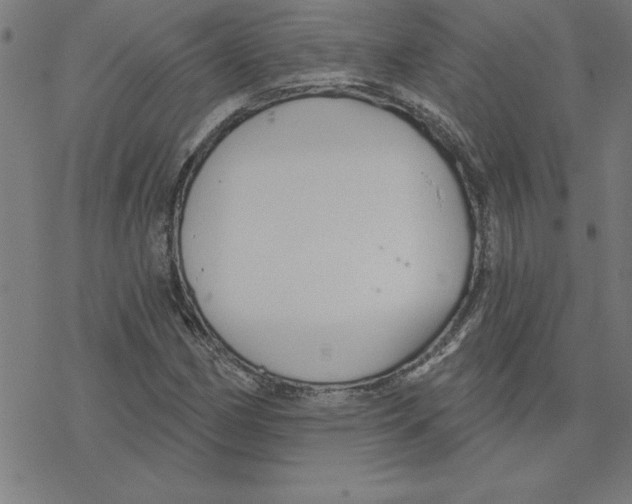 X0000078271162200612011712