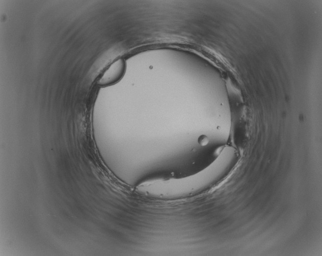 X0000078271163200612011712