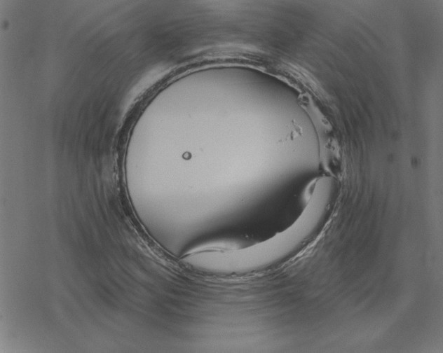 X0000078271164200612011712