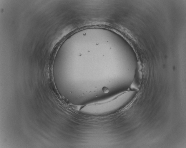 X0000078271165200612011712