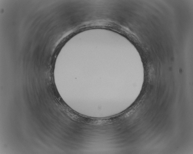 X0000078271166200612011712