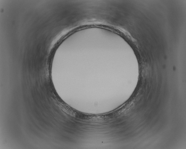 X0000078271167200612011712