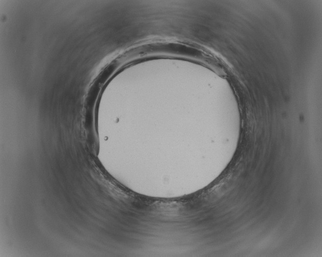 X0000078271168200612011712