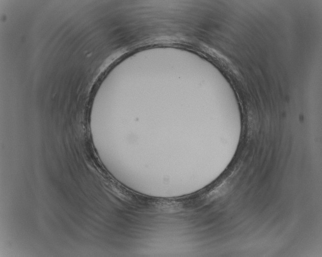 X0000078271170200612011712