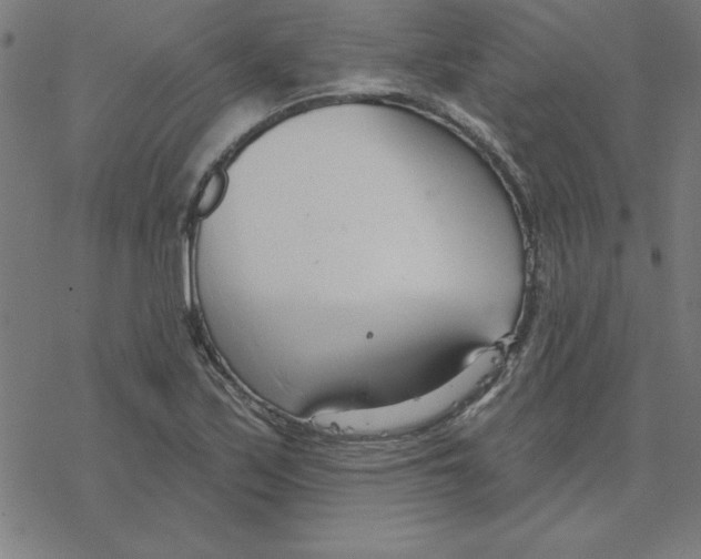 X0000078271171200612011712