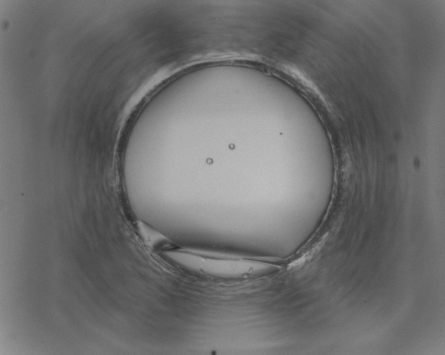 X0000078271173200612011712