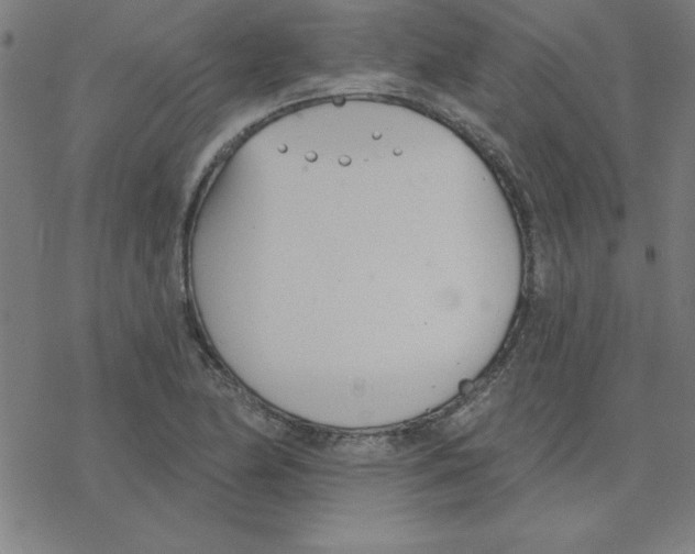 X0000078271174200612011712