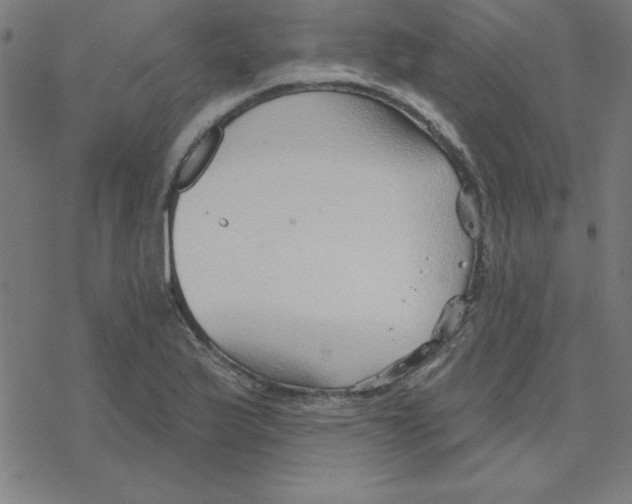 X0000078271175200612011712