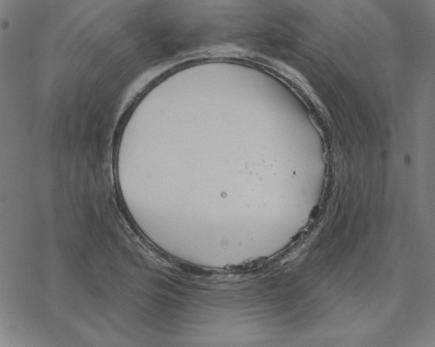 X0000078271176200612011712