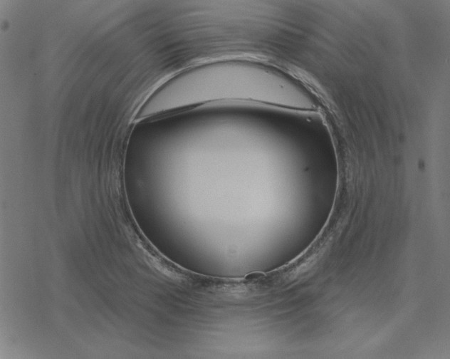 X0000078271177200612011712