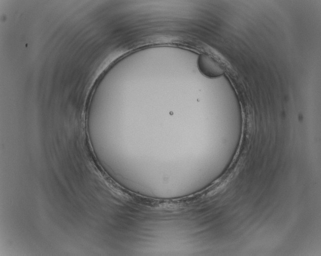 X0000078271178200612011712