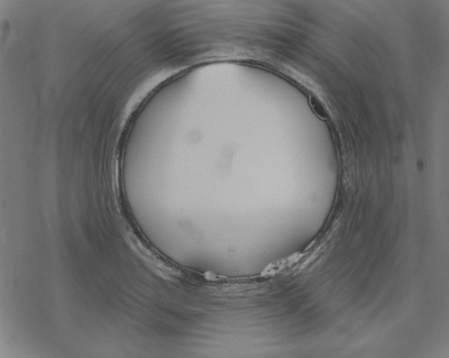 X0000078271179200612011712