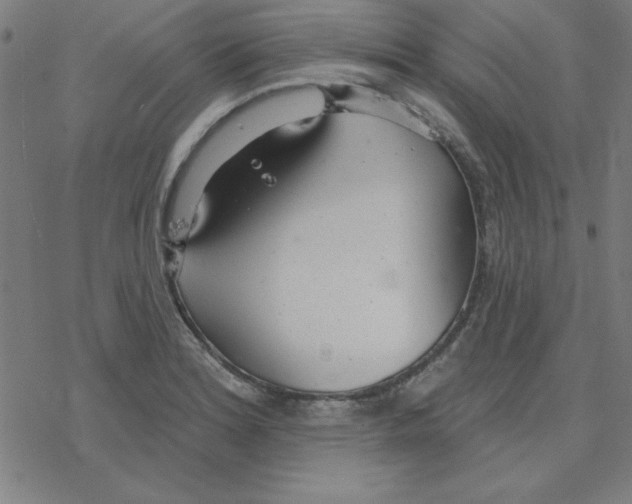 X0000078271180200612011712