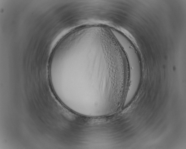 X0000078271183200612011712