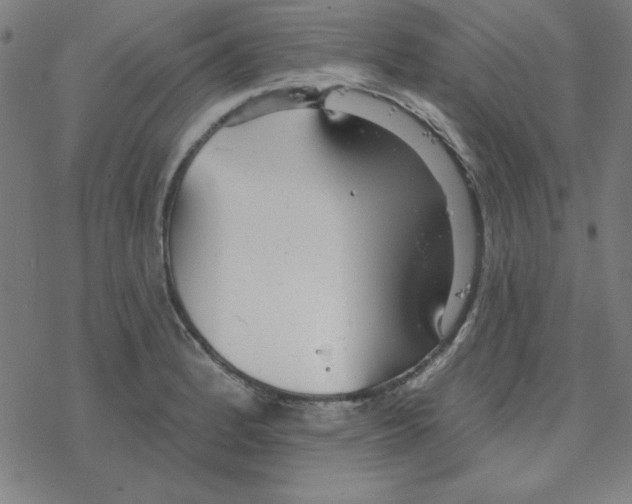 X0000078271184200612011712