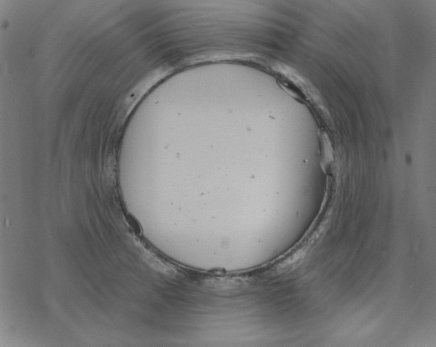 X0000078271185200612011712