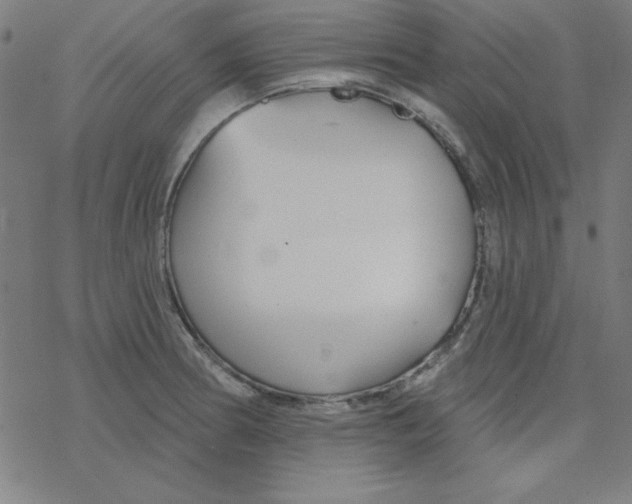 X0000078271186200612011712