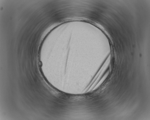 X0000078271187200612011712