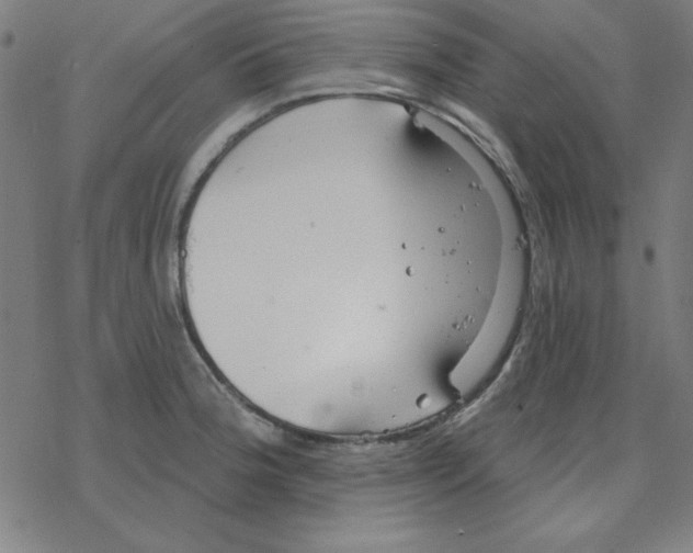 X0000078271188200612011712