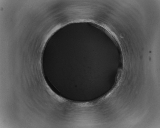 X0000078271189200612011712