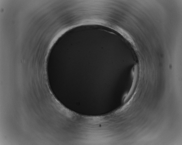 X0000078271192200612011711