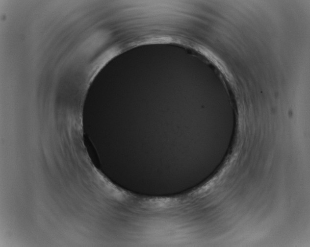 X0000078271193200612011711