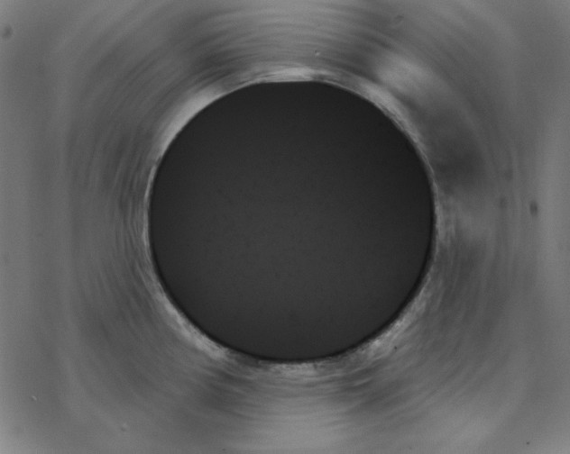 X0000078271194200612011711