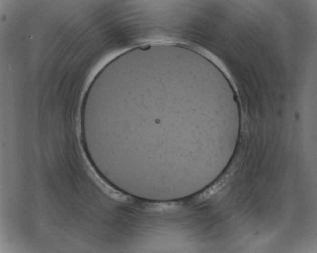 X0000078271195200612011711