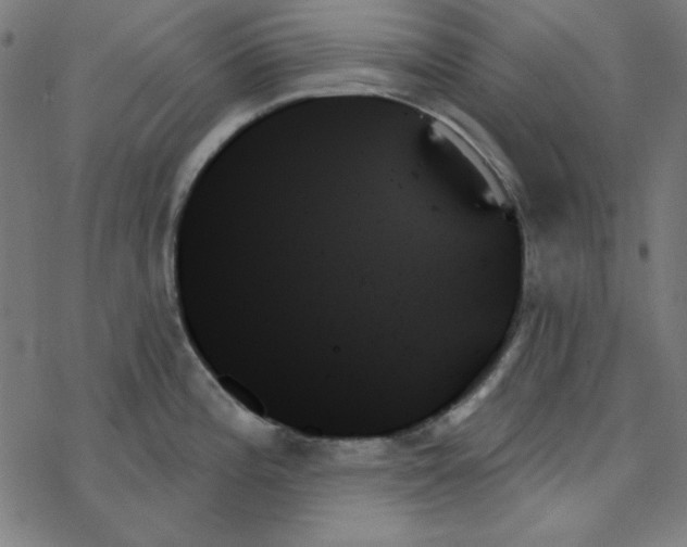 X0000078271196200612011711