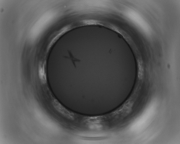 X0000078271198200612011711