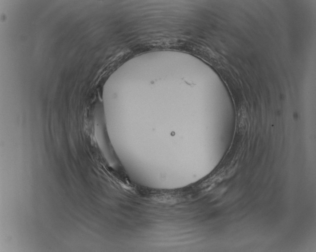 X0000078271202200612011711