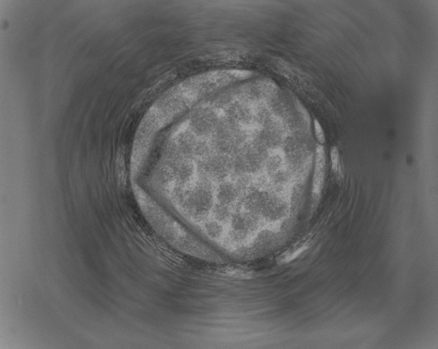 X0000078271203200612011711