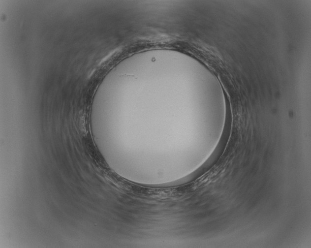 X0000078271205200612011711