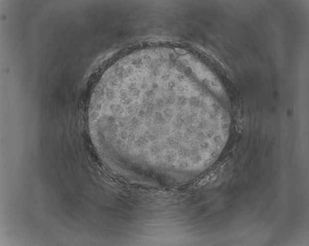 X0000078271207200612011711