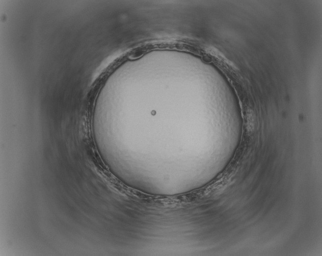 X0000078271208200612011711