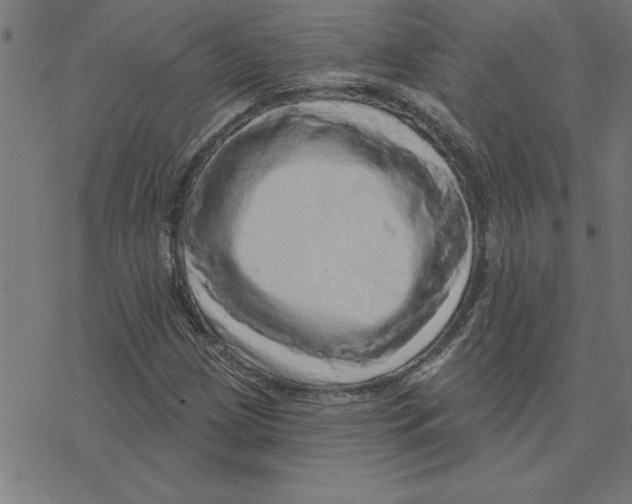 X0000078271209200612011711