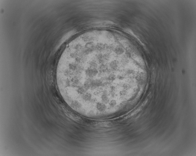 X0000078271211200612011711