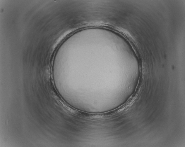 X0000078271212200612011711